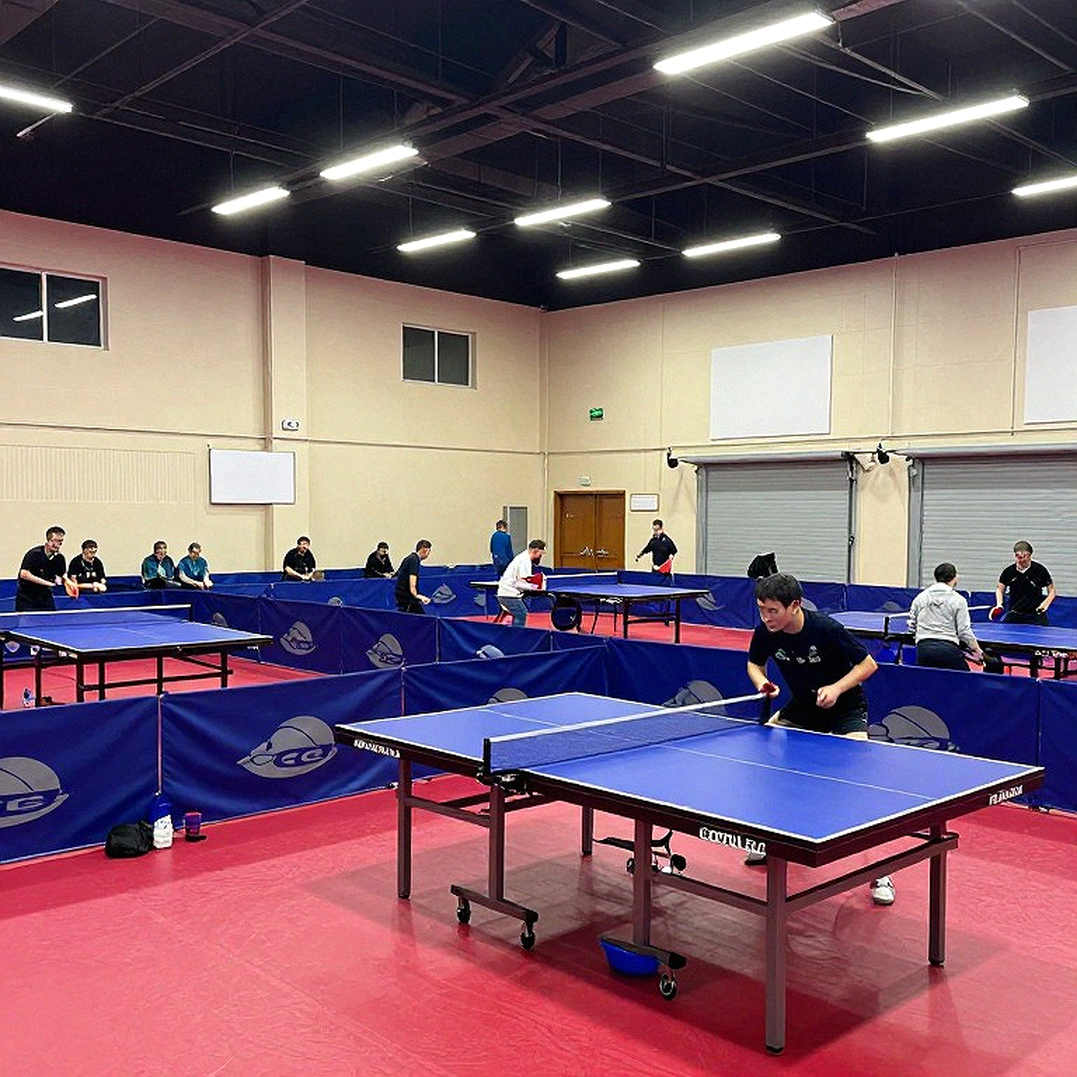 The Geometry of Vietnamese Table Tennis: Re-reading 20 Years of Defeat by Coordinates, Not Emotion The Geometry of Vietnamese Table Tennis: Re-reading 20 Years of Defeat by Coordinates, Not Emotion