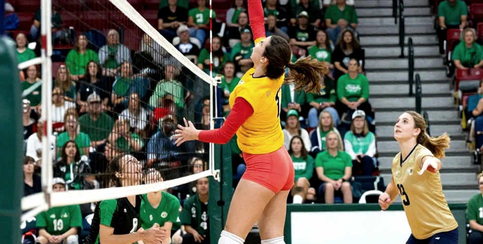 Sáu suất Olympic LA 2028 đã khóa: Khoảng trống mang tên Pháp và Ý